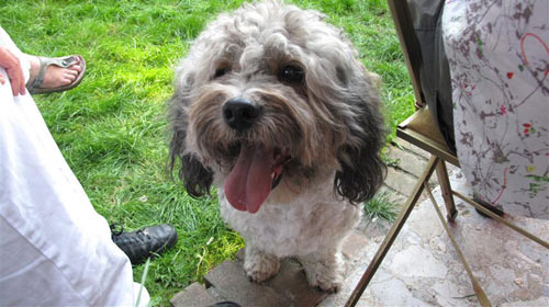 bobby-baby.jpg bobby-baby.jpg