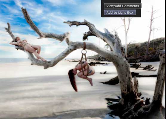 slaves-in-tree slaves-in-tree